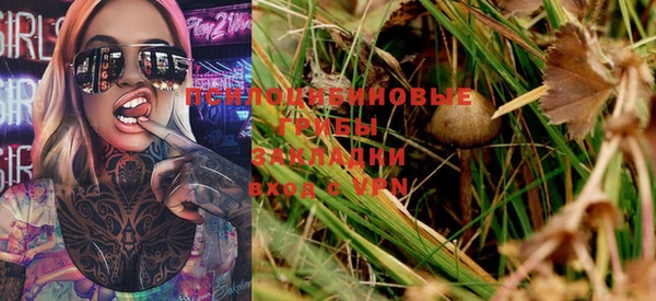 spice Белокуриха