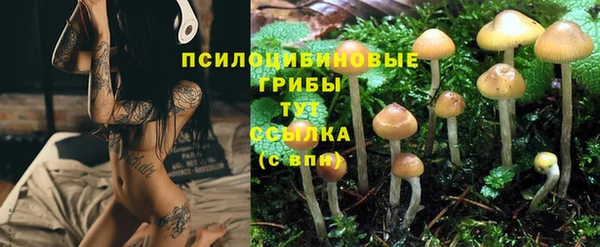 дмт Покров