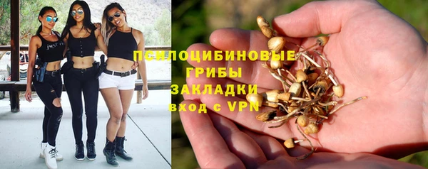 spice Белокуриха