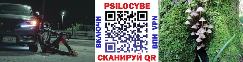 Псилоцибиновые грибы мухоморы  купить  сайты  мега сайт  Кедровый 